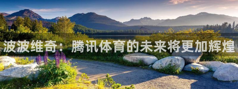 波波维奇：腾讯体育的未来将更加辉煌