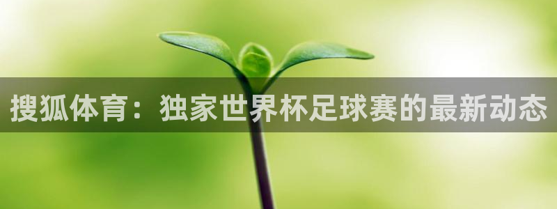搜狐体育：独家世界杯足球赛的最新动态