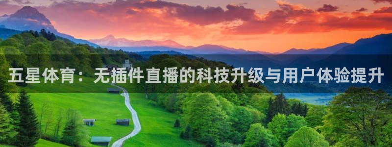 五星体育：无插件直播的科技升级与用户体验提升